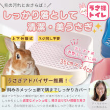 Mollemii うさぎ トイレ 36*24 上下分離式 ケージ固定 フック取り外し 隅までメッシュ網