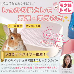うさぎ ケージ、トイレ、チモシー入れ、ペレット入れ全8点セット販売 Amazon | Gifty うさぎ トイレ 大きい 四角 固定式 小動物